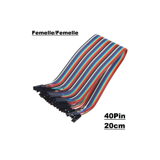 40 Fils de Connexion Jumper F/F 20cm