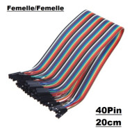 40 Fils de Connexion Jumper F/F 20cm